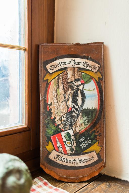 Gasthaus Zum Specht Hösbach Extérieur photo